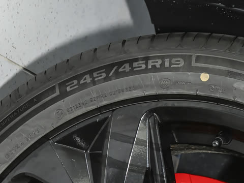 2025�� ����600�����˶���