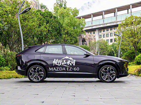 2025�� ����600 Max