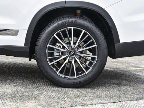 2025�� 290T ��������+