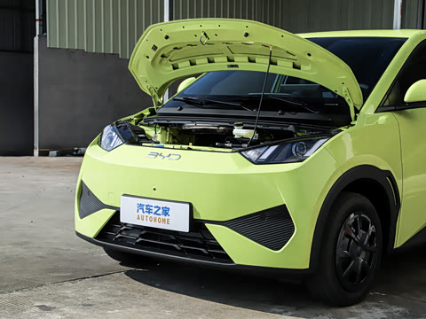 2026�� 305km ������