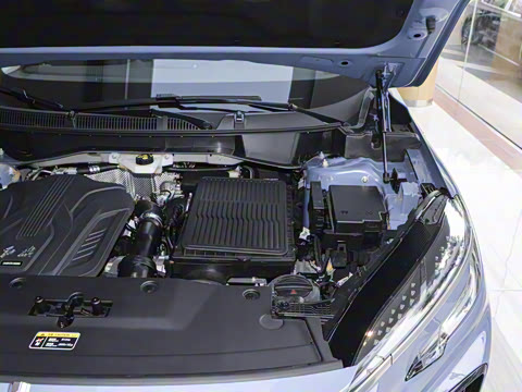 2024�� 115km ��Ϊ��