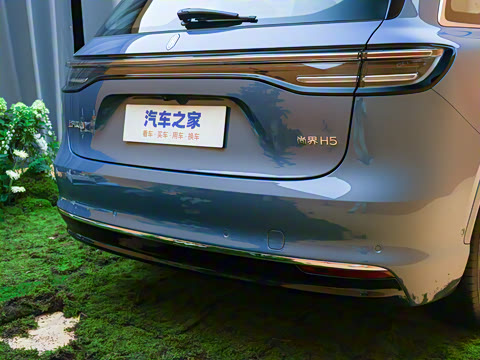 2025�� ���� Max