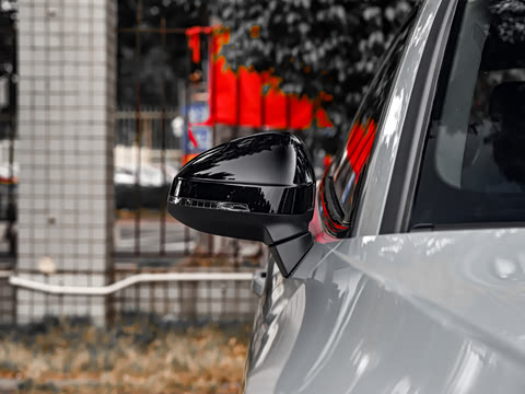 2024�� RS 5 2.9T Coupe ȼ���