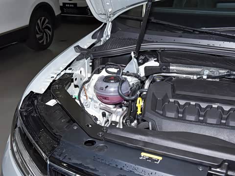 2026�� ���ڿ� 330TSI �Զ�����R-Line��ҫ��