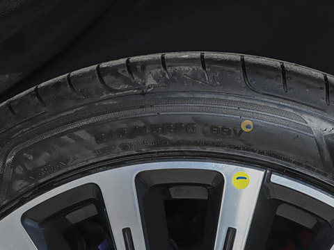 2026�� �����