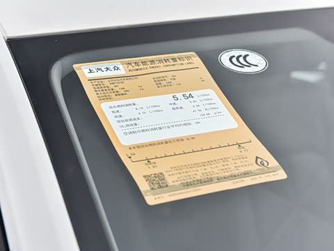 2026�� 300TSI DSG�ǿ����Ȱ�