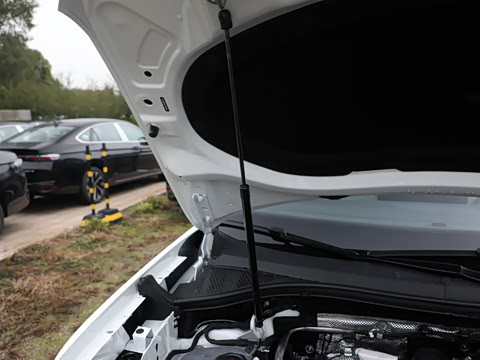 2026�� 3000������ѡ�� 300TSI