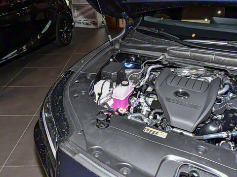 2026�� 300 ����������