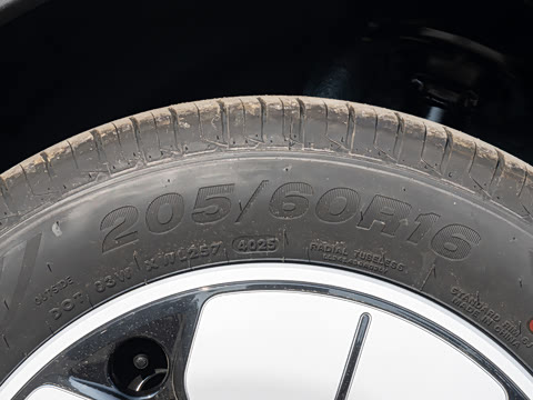 2026�� 310km �ഺ��