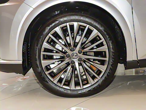 2025�� 350h ����������