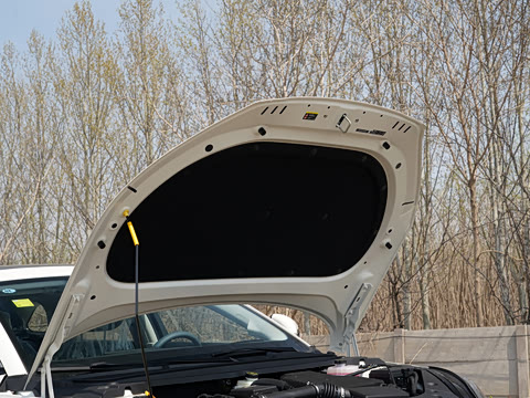 2026�� DM-i 200KM������