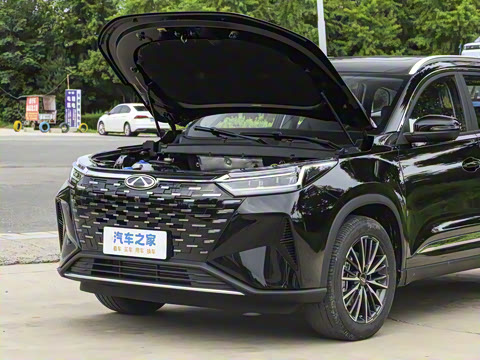 2025�� 290T ��������+