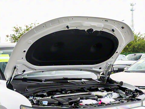 2026�� ���� 300�����״��