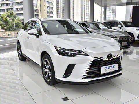 2026�� 300 ����������