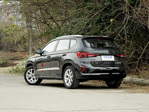 2026�� 280TSI �Զ�����Plus��