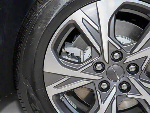 2025�� ���� �������������� ����