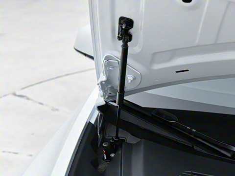 2025�� �Ŀ� ����������������