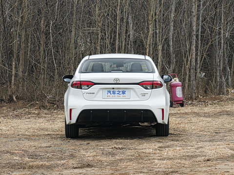 2026�� ����L ���Ͱ� 2.0L ����PLUS��