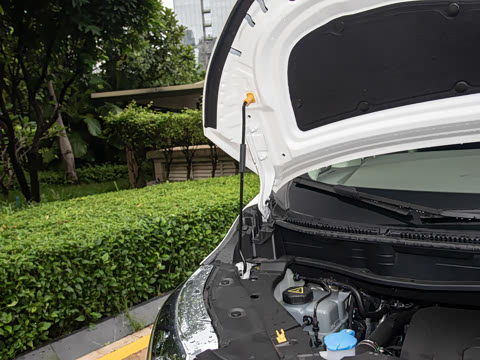 2025�� ������ɽ7