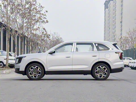 2026�� 1.5TD ˫������� 5��