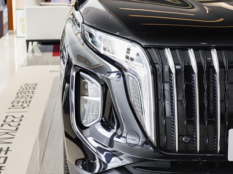 2025�� �Ŀ�  2.0T PHEV ���������� 7��