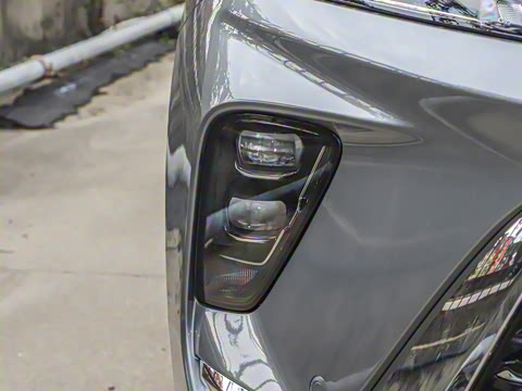 2026�� ������Plus ����Avenir��ά��