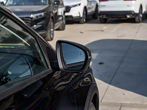 2025�� ������