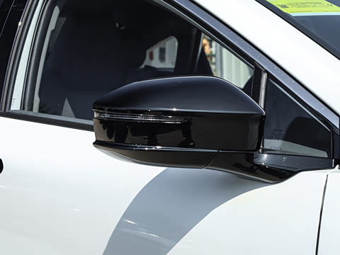 2026�� ������ JOY