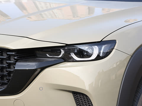 2026�� 2.5L ���а�