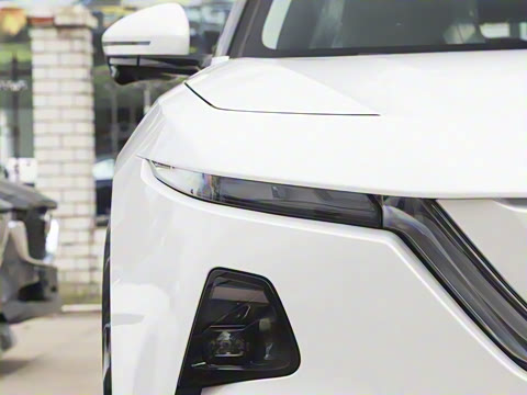 2025�� ����200 Pro