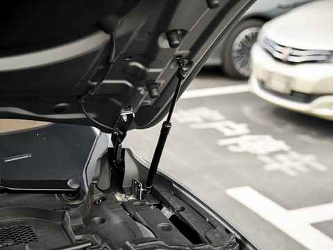 2025�� 260��������������