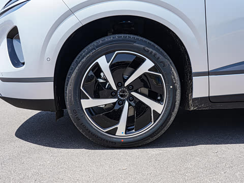 2026�� DM-i 305Զ����