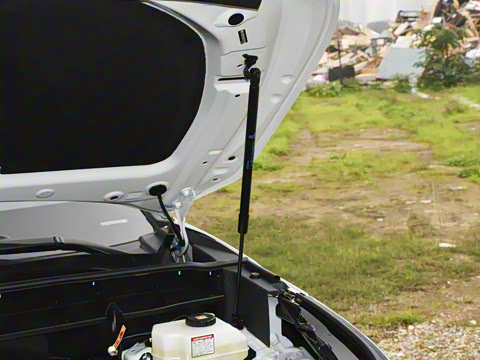 2026�� 2.5L���ܵ��˫������������ 7��