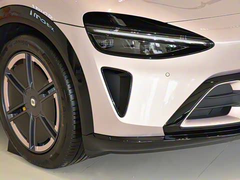 2025�� ������������Pro��