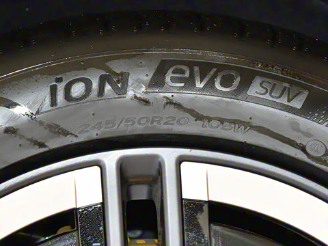 2025�� ������������Pro��