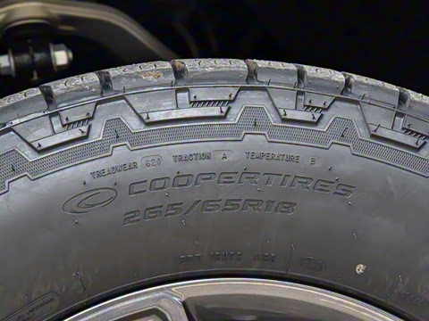 2025�� ͨ�հ�