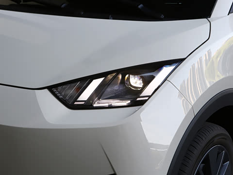 2026�� 305km ���ɰ�