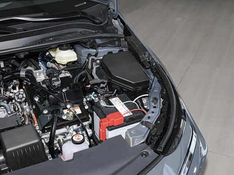 2026�� 1.8L ˫�� ��Ӣ��