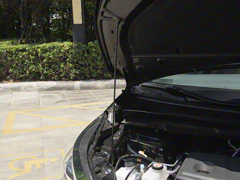 2026�� ������