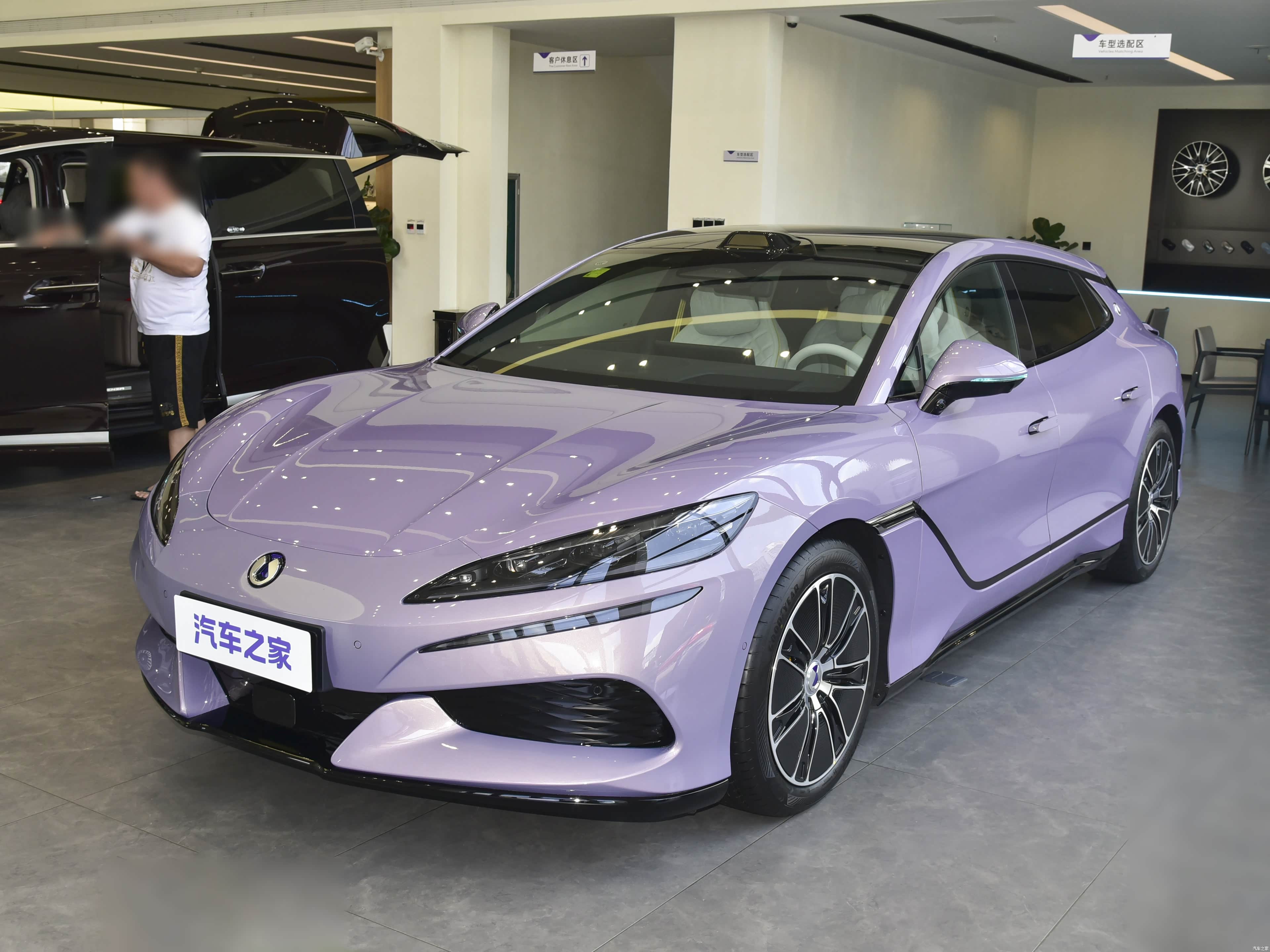 Denza Z9GT, миниатюра 8