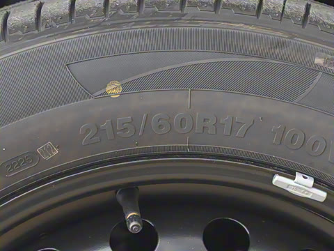 2025�� 401 ���а�