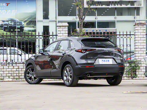 2025�� 2.0L �Զ�������