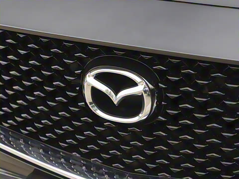 2025�� 2.0L �Զ�������