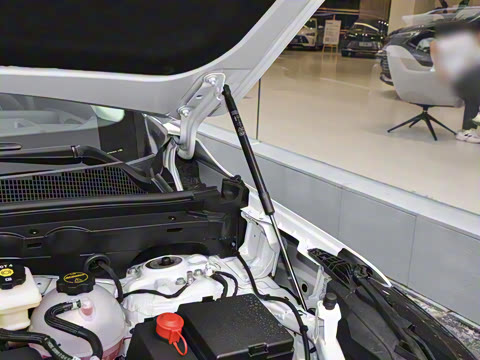 2026�� ������Plus ����Avenir��ά��