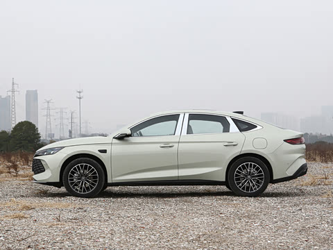 2026�� DM-i 210KM������