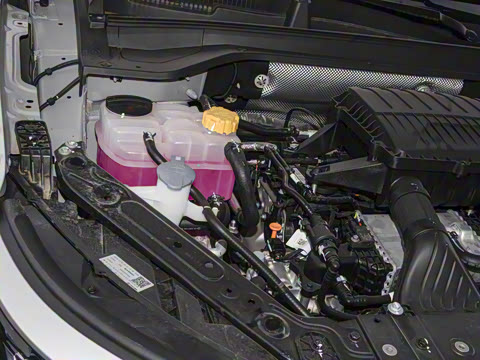 2025�� 100������Plus����