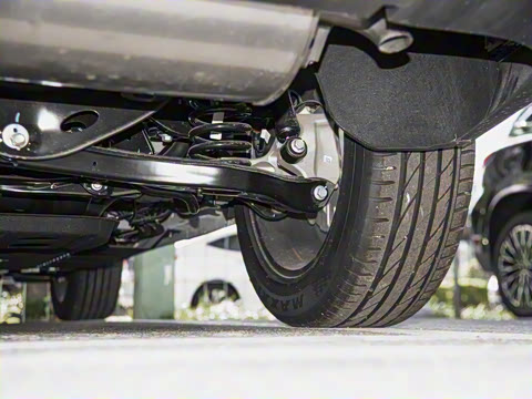 2025�� 100������Plus����