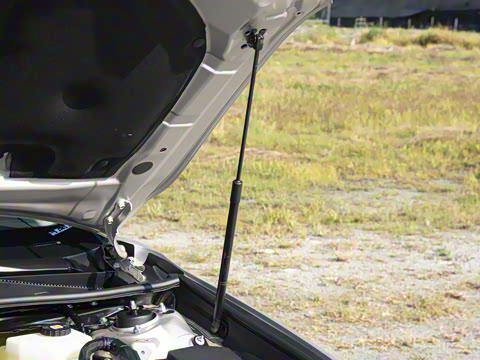 2026��  ˫�� 2.0HG ����