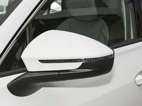 2026�� ̽��L 300TSI ������Ӣ