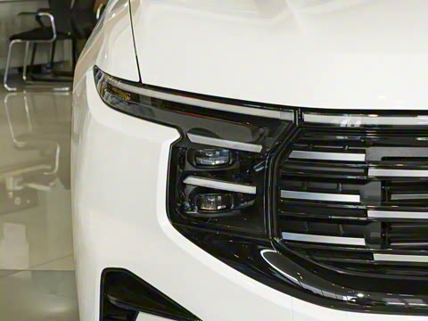 2026�� ���L 2.0T EcoBoost ��������������